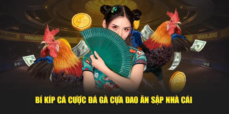 Bí kíp cá cược đá gà cựa dao ăn sập nhà cái