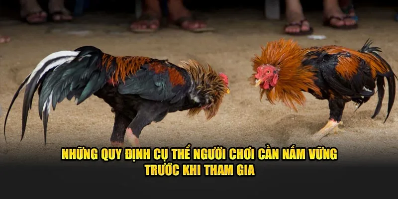 Những quy định cụ thể người chơi cần nắm vững trước khi tham gia