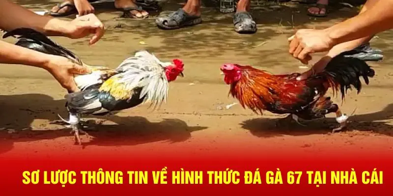 Sơ lược thông tin về nền tảng giải trí chất lượng trên thị trường