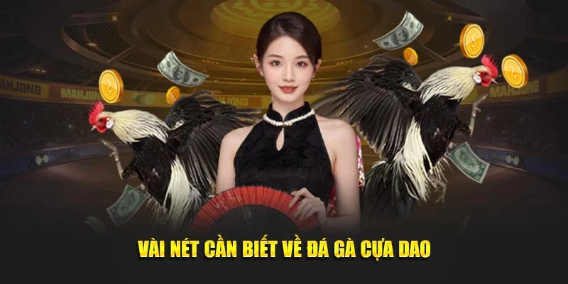 Vài nét cần nắm về đá gà cựa dao